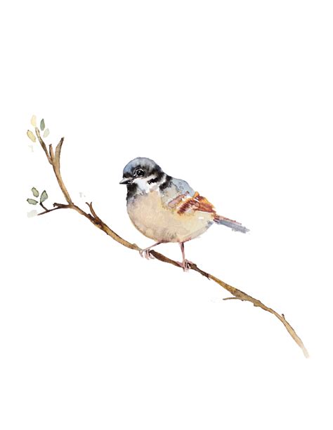 Spring Bird Free Watercolor Printable