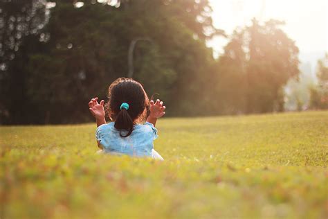 图片素材 景观 树 性质 厂 天空 女孩 领域 草坪 摄影 草地 草原 玩 阳光 早上 叶 夏季 弹簧