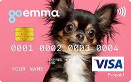 Is an independent company based in britain , but in the united states its debit cards are issued at first glance, what could possibly be wrong with gohenry? gohenry Children Custom Card Designs | gohenry Kids Bank Cards