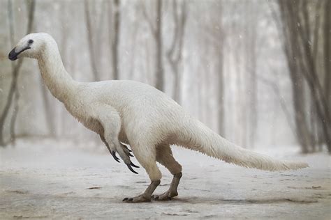Footprint Of Strange Dinosaur Found In Alaska Earth Archives