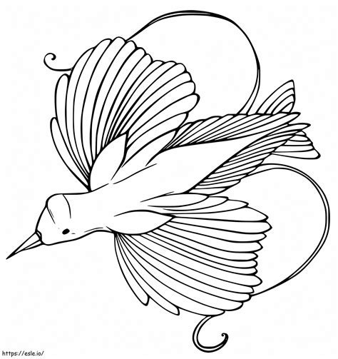 Bird Of Paradise Flying Coloring Page