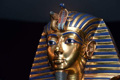 Dozens Of Cat Mummies Found In 6000 Yr Old Egypt Tomb Power 1075