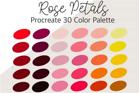 Rose Petals 30 Colors Procreate Palette Brush Galaxy