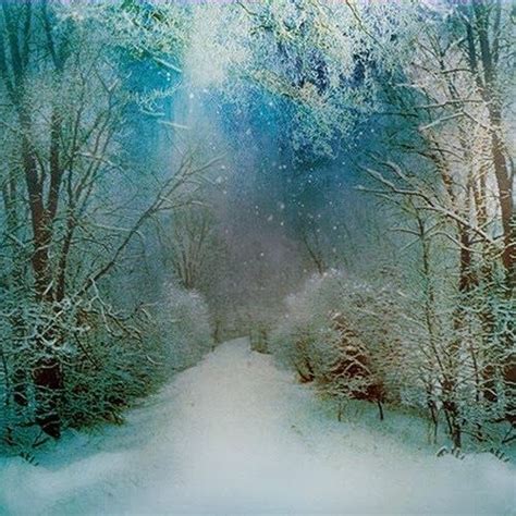 Mystical Winter Wonderland Winter Scenery Winter Landscape Winter