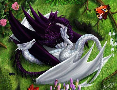 Sleeping Dragons Ying And Yanging It Mythological Creatures Fantasy