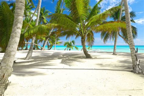 San Andrés Island 15 Fun Things To Do Connollycove