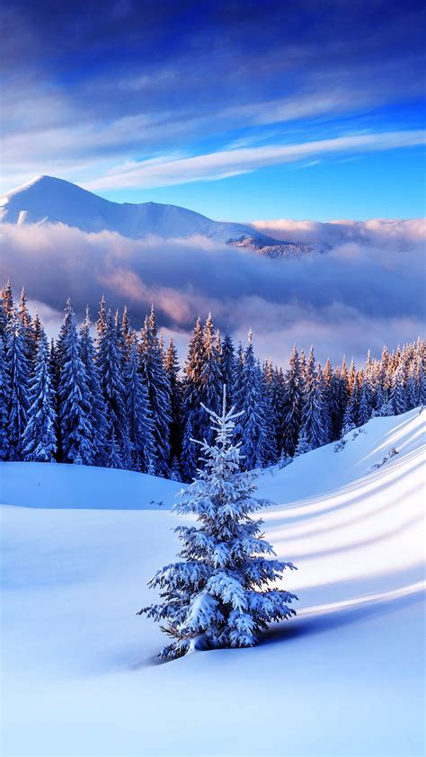 Winter Mountain Tree Iphone 6s Plus Wallpaper Artofit