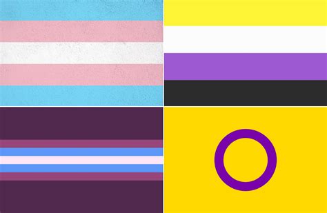 Resources For Transgender Nonbinary Gender Nonconforming And Intersex Babes Hey BU Blog