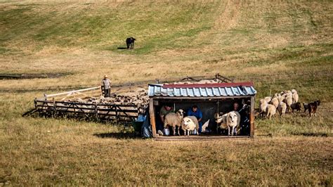 Sheepfold Near Viscri Romania Photo Tours