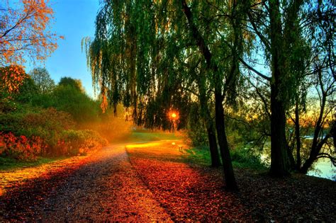 rays bench forest trees autumn leaves hdr walk sun sunset hdr wallpapers hd desktop