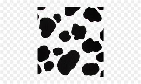 Cow Spots Outline All About Cow Photos