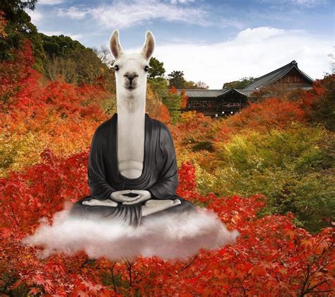 A Llama Sitting On Top Of A Cloud In The Middle Of A Forest Filled With