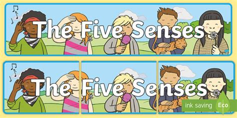 👉 The Five Senses Display Banner Teacher Made Twinkl