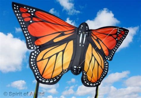 Spirit Of Air Large Monarch Butterfly Kite Totally Awesome