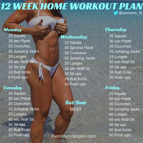 This plan is designed to remove both the intimidation and intense soreness that sometimes comes along with resuming exercise activity. 12 WEEK NO-GYM HOME WORKOUT PLAN | Top Health Remedies