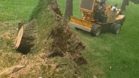 How To Stump Grind An Uprooted Tree Youtube