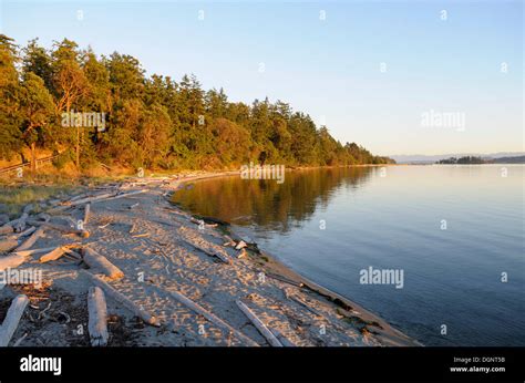 Beach At Sidney Spit Gulf Islands National Park Reserve Of Canada