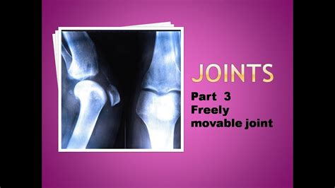 Joints Part 3 Freely Movable Joints Youtube