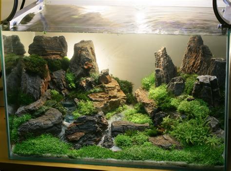 #aquarium #fish #aquascape #fishtank #fishtankideas #biotope #scape. Juragan Mulia: Aquascape Pekanbaru "Eksotisme dan ...