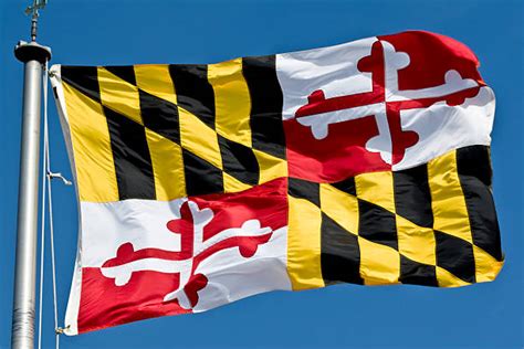Bandera Del Estado De Maryland Fotos Banco De Fotos E Imágenes De