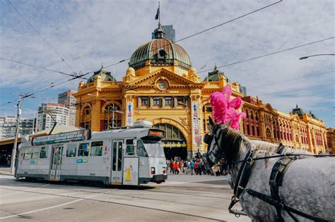 Taking Time Out 7 Things You Must Do When You Visit Melbourne