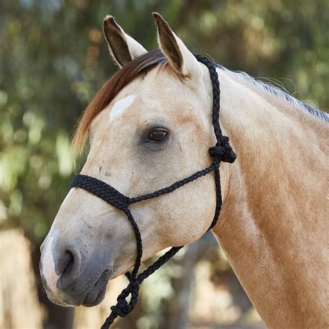 Tough 1 Braided Mule Tape Rope Halter w/Lead - Riding Warehouse
