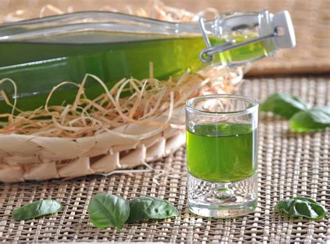 Cerca una ricetta preparazione ricetta: Liquore al basilico: ricetta veloce per prepararlo | OdC