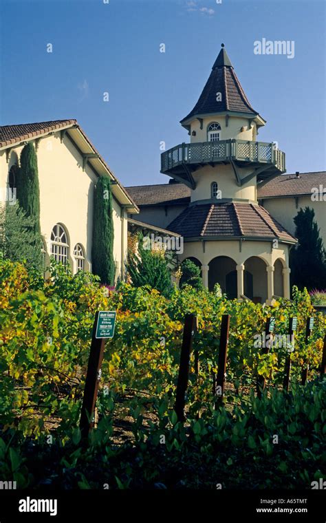 Chateau St Jean Winery Valley Of The Moon Sonoma County California
