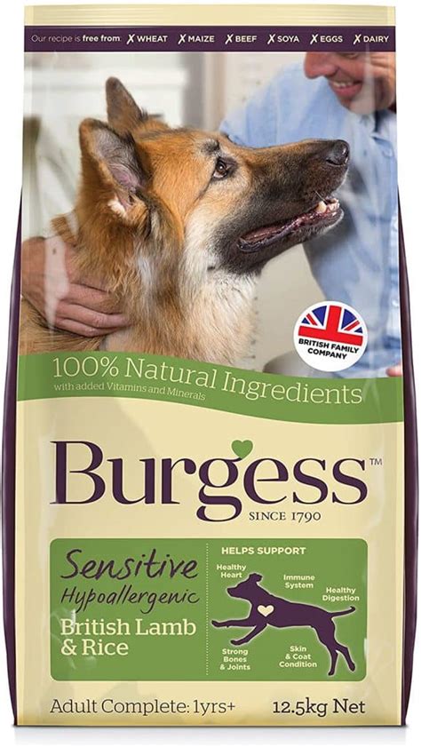 From a succulent salmon to free range lamb, your pet can enjoy their favourite flavour. 5 Best Dog Foods For Sensitive Stomachs UK | Dog Desires