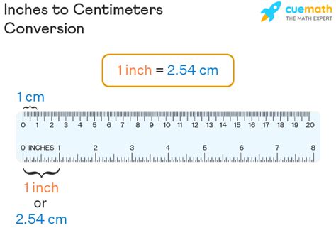 Rulers Inch And Metric Scale For A Ruler In Inches And Centimeters