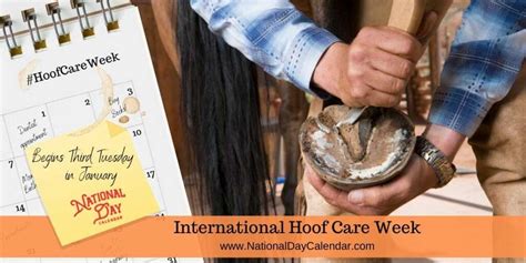 International Hoof Care Week Begins Third Tuesday In January