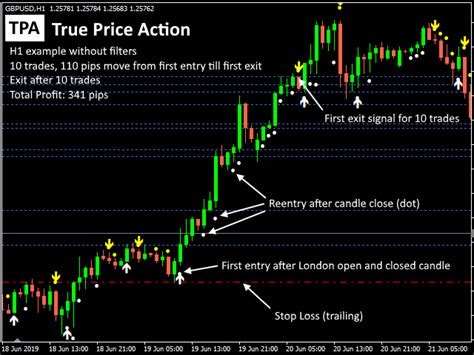 Buy The Tpa True Price Action Mt4 Indicator Technical Indicator For