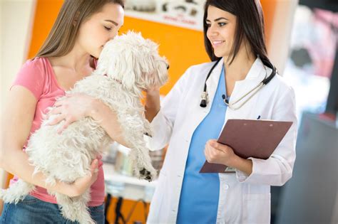 Reasons To Be A Veterinarian Veterinary Practice News Canada