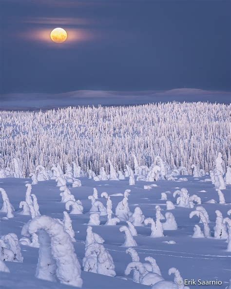 Lapland Winter Wonderland By Erik Saarnio City Landscape Lapland