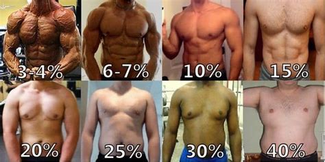 What Is The Ideal Body Fat Percentage For The Body Vinmec