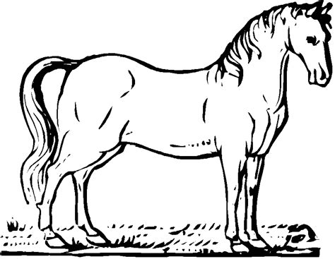 Mewarnai kuda poni denagn crayon. Gambar Pelangi Una Mewarnai Kuda Poni Gambar di Rebanas ...