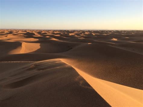Arabian Desert Facts And Information Beautiful World Travel Guide
