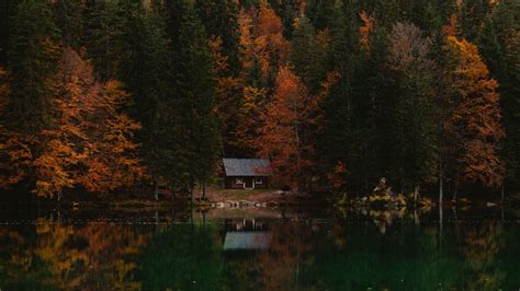 Visit properties without moving from your home. Download wallpaper 1920x1080 forest, house, autumn, lake ...
