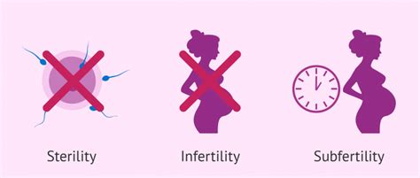 Understanding The Concepts Of Sterility Infertility And Subfertility