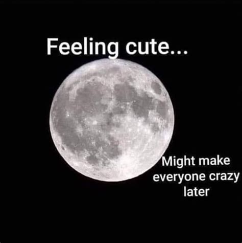 Pin By Angie Miller On Funny Stuff Moon Quotes Full Moon Tonight Full Moon Quotes