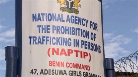 Benin Naptip Rescues 468 Trafficking Victims In Six Months Official