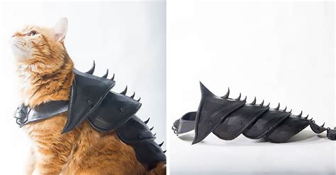 Guy Turns His Cat Into A Total Badass With This 3d Printed Armor Wow