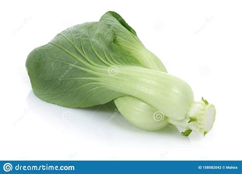 Bok Choy Or Chinese Cabbage Isolated Stock Photo Image Of Chinese