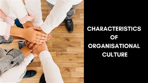 11 Characteristics Of Organisational Culture Marketing91