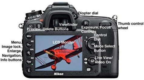 Digital Slr Buying Guide Digital Single Lens Reflex Dslr Cameras