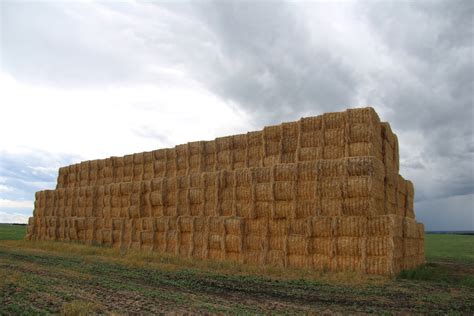Large Square Hay Bales Free Stock Photo Public Domain Pictures