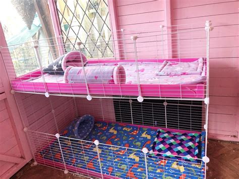 Kavee Candc Guinea Pig Cage Liners Custom Etsy