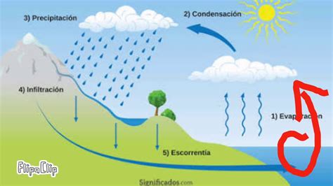 Ciclo Del Agua H2o Ciclos Bioquímicos Youtube