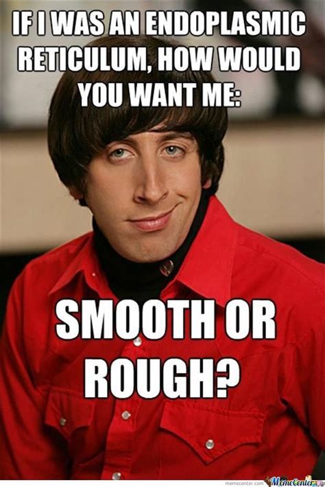 Howard Meme Big Bang Theory Image Memes At