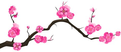 Japanese Cherry Blossom Flower Drawing Free Download On Clipartmag